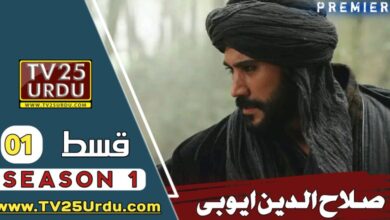 Selahaddin Eyyubi Episode 1 With Urdu Subtitle Free