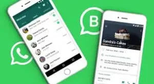 tv25urdu-whatsapp-business-messaging-tools